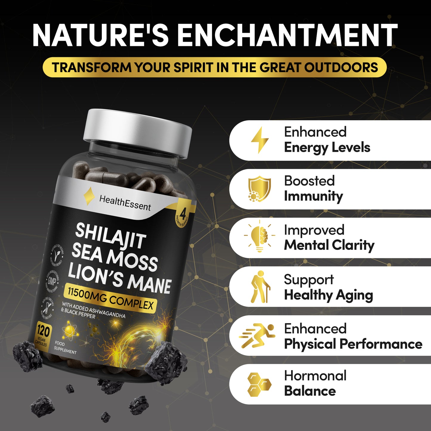 HealthEssent Shilajit supplement 4 month supply - 120 vegan capsules for natural energy and brain support