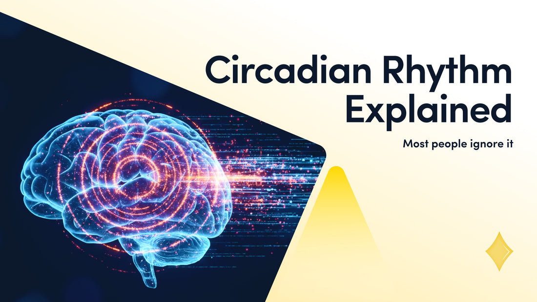 Disturbed Circadian Rhythm Explained: Never Ignore