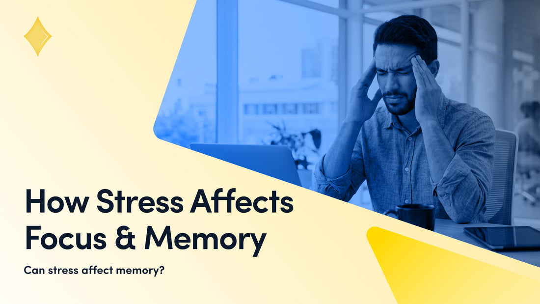 How Stress Affects Focus and Memory