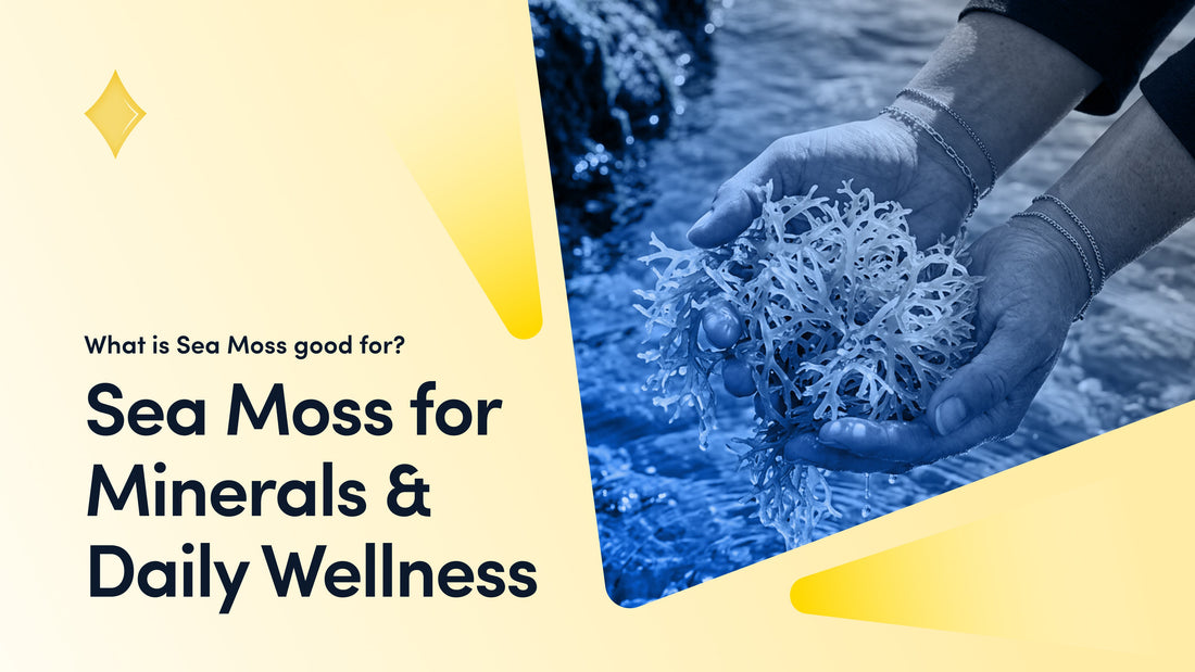 Sea Moss for Minerals