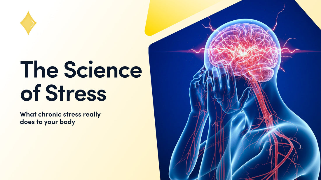 Impacts of Chronic Stress (and What Actually Helps)