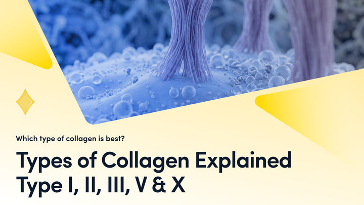Types of Collagen