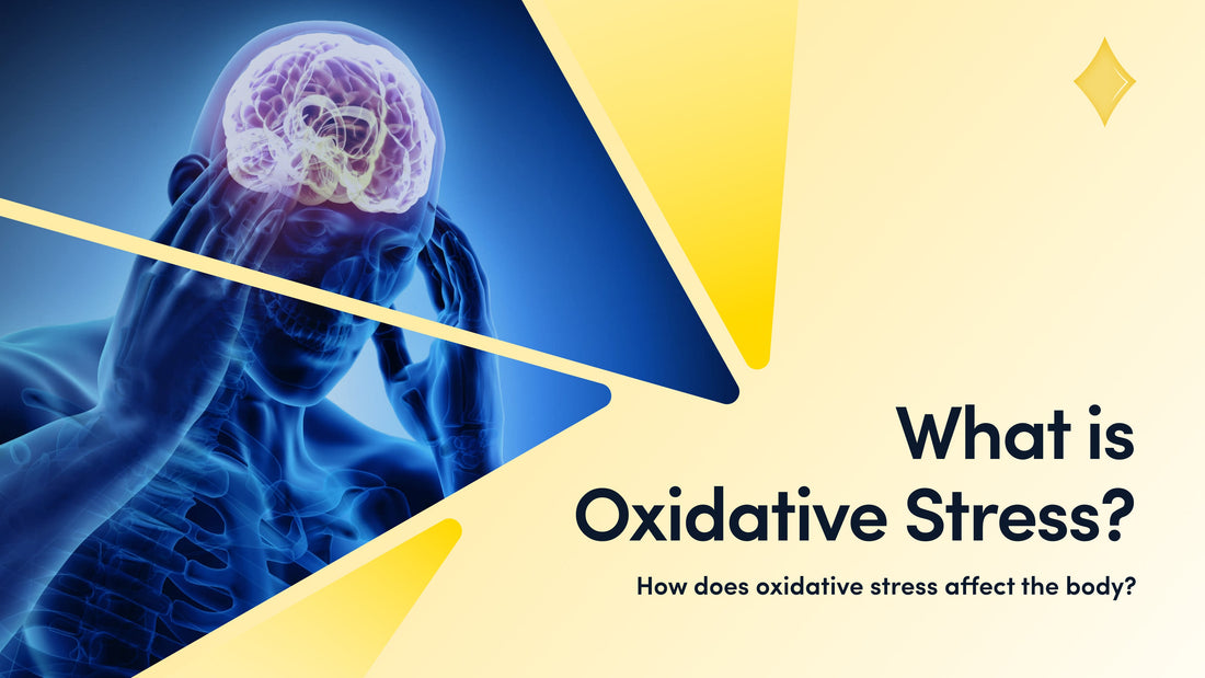 What Is Oxidative Stress | Explanation