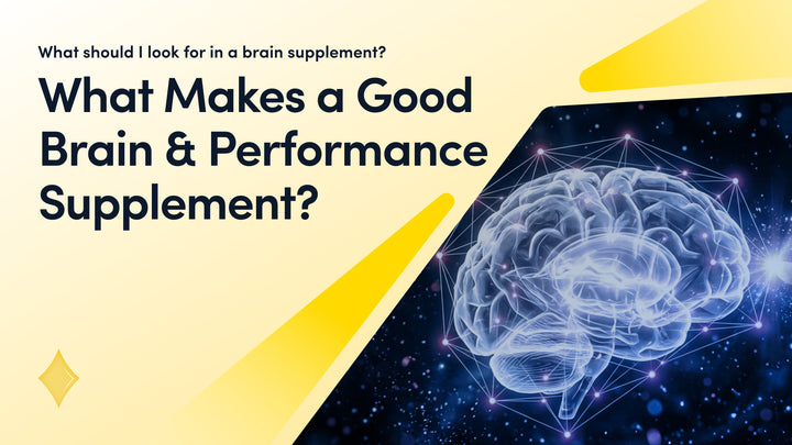 Brain Supplement