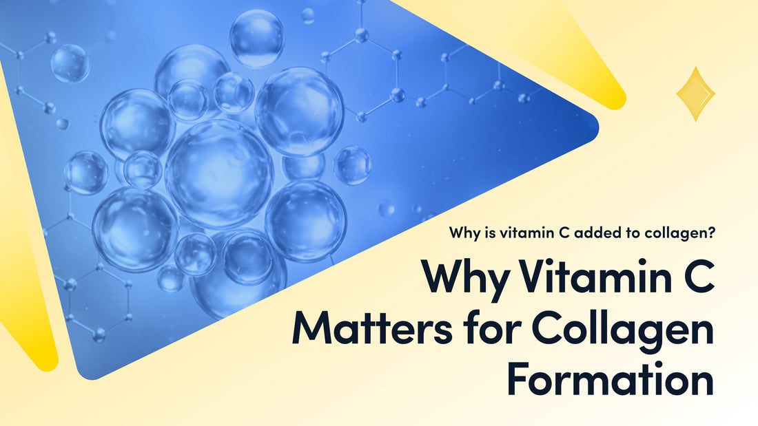Vitamin C for Collagen Formation