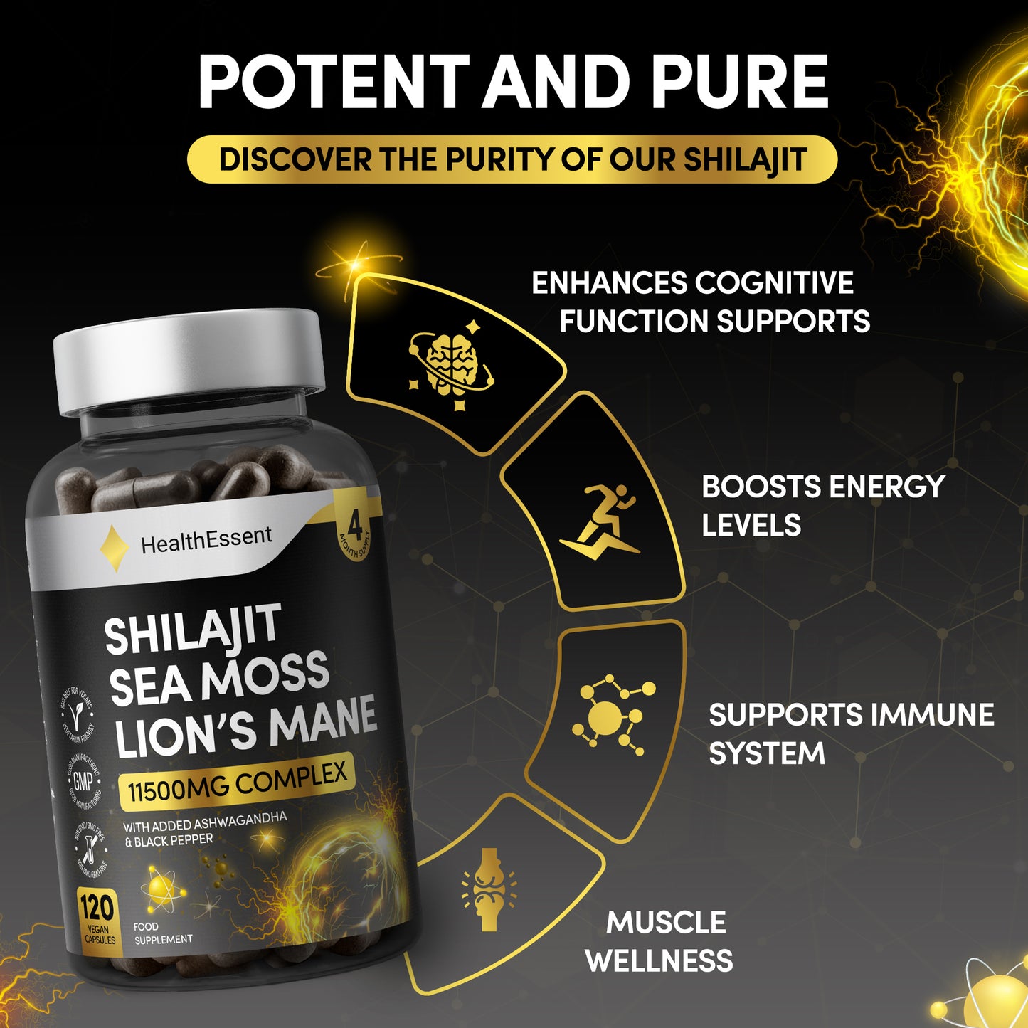 Shilajit Seamoss and Lions Mane Capsules