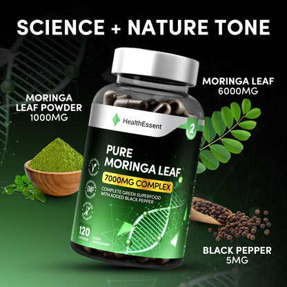 Fresh green moringa oleifera leaves, the miracle tree superfood containing 90+ nutrients used in HealthEssent dual-form 7000mg complex
